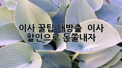이사 꿀팁 대방출! 💰 이사 할인으로 돈쭐내자! 🚚💨